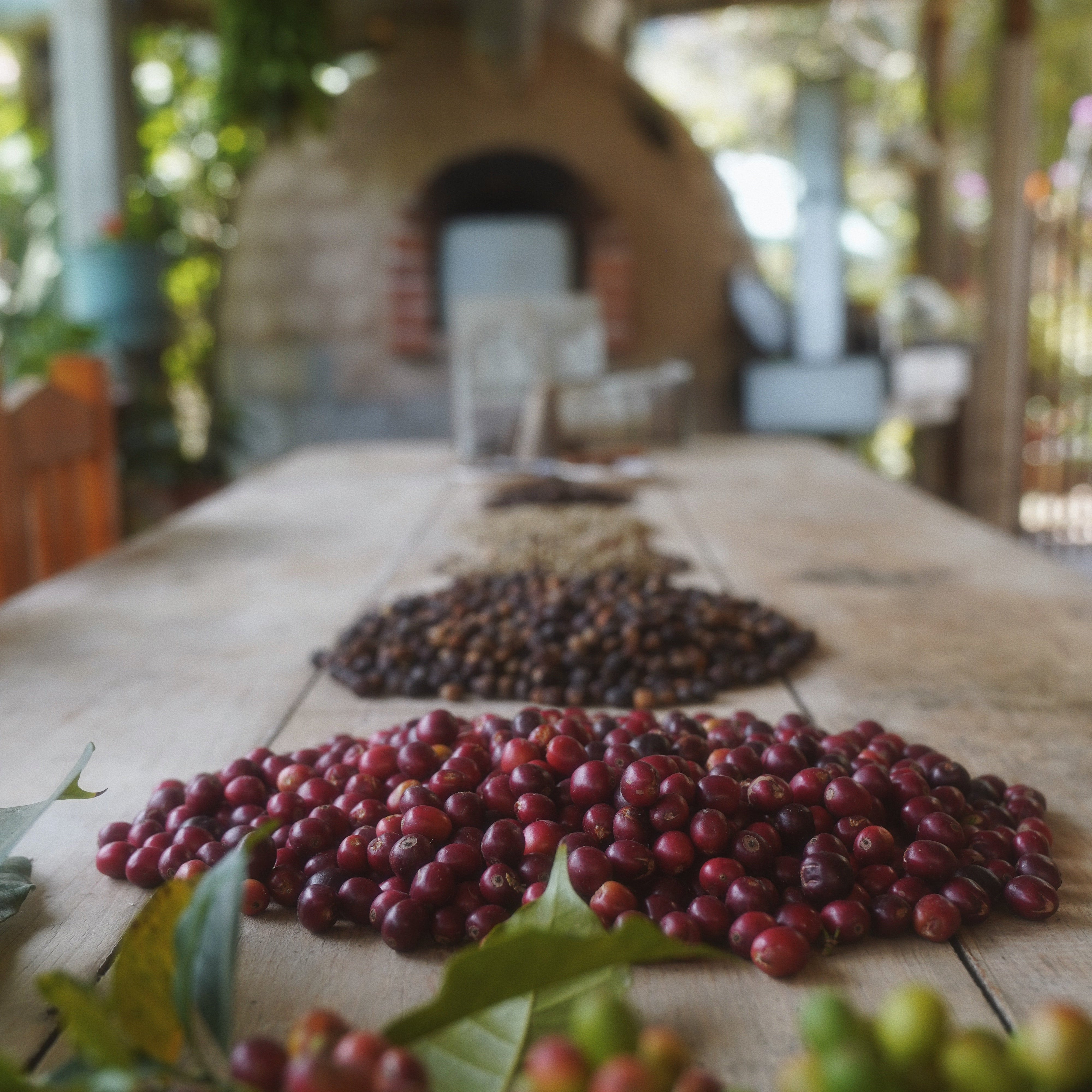 A Sip of Tradition